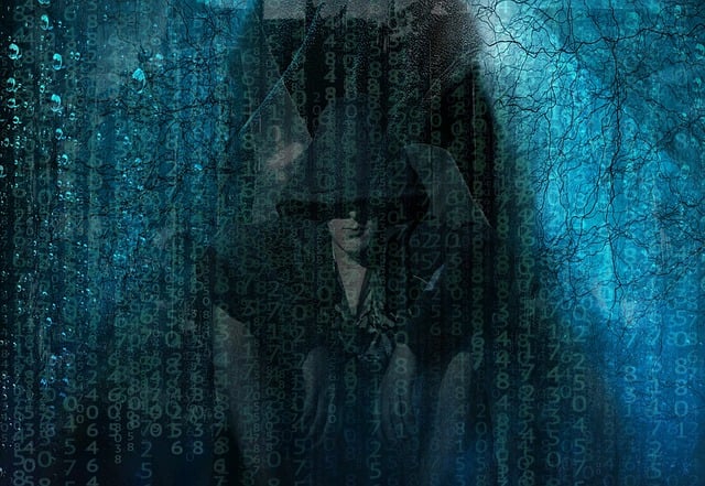 合作客户